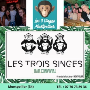 Logo du bar pour célibataires Les Trois Singes à Montpellier