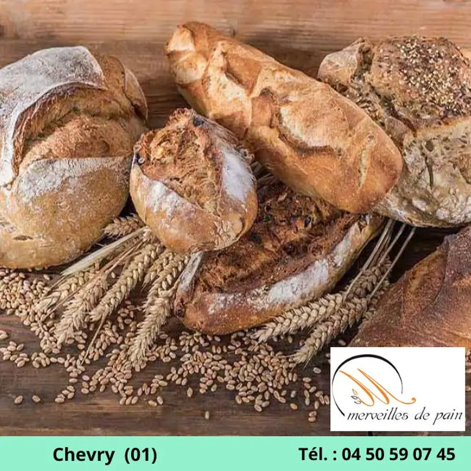 photo de meilleure boulangerie saint genis pouilly 01
