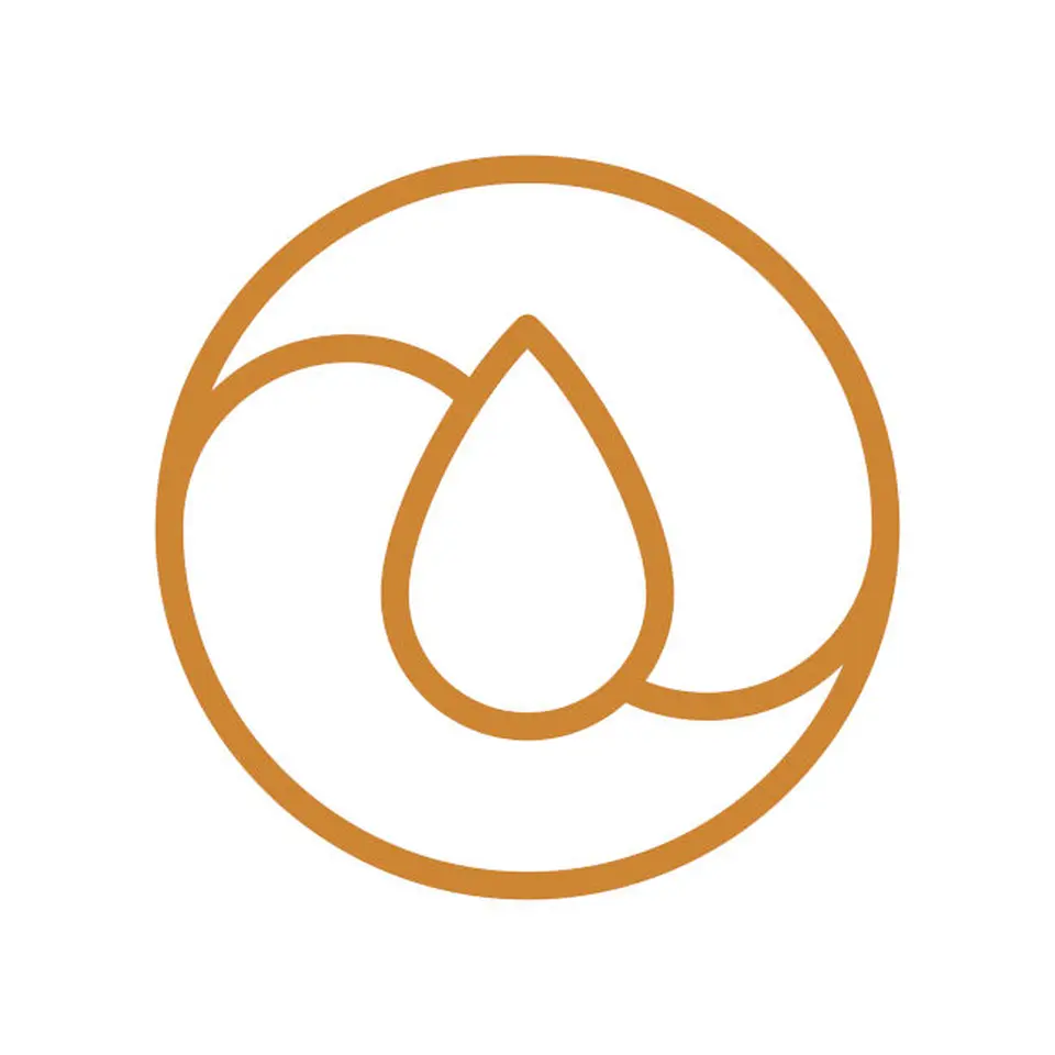 Logo de la Compagnie du Bien-Être à Genève